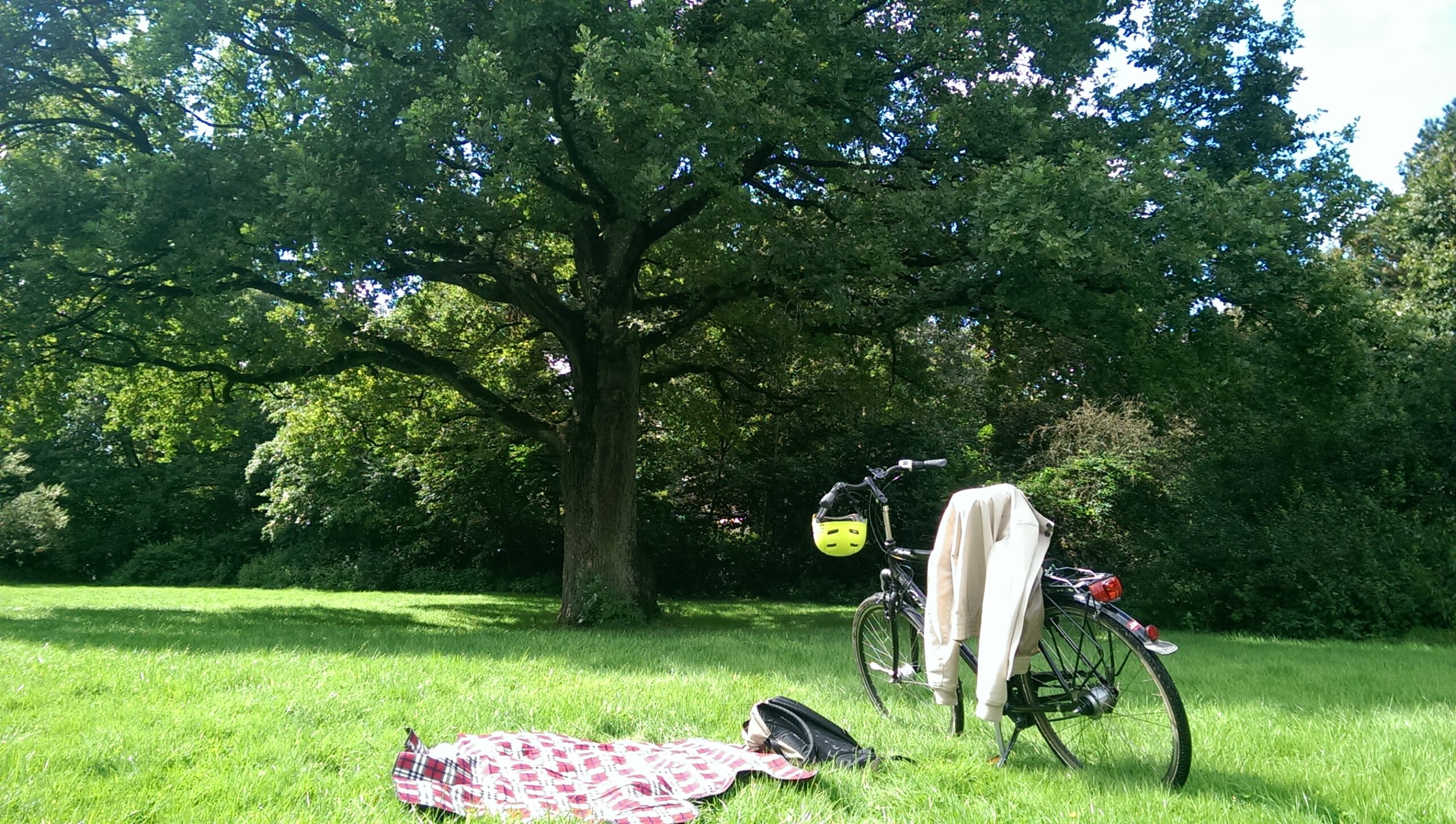 Fahrrad mit Helm und Jacke neben Picknickdecke auf Wiese im Park